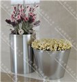 不锈钢材质花盆 图片