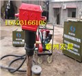 WX-KY2012水库抢险打桩机植桩机 供应信息