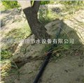 襄樊果树滴灌方式/香蕉果园滴水管 图片