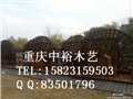 重庆防腐木水车防腐木风车电驱动水车水驱动水车景观水车 图片