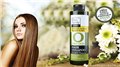 欧拉欧丽橄榄油橄榄油蜂蜜洗发露欧美正品进口日用品 图片