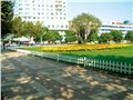 沈阳顺风护栏 供应信息