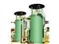 YYL(W)燃油立（卧）式导热油锅炉 图片