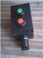 不饱和树脂ZXF8050-A2防爆防腐按钮盒 图片