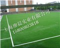 丰县足球场专用人造草坪施工标准 图片
