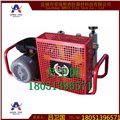 国厦 GSX100系类 便携式空气呼吸器充气泵 图片