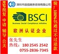 深圳辰信BSCI驗(yàn)廠咨詢輔導(dǎo)，一站式服務(wù)包通過 圖片