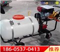 200L/300L/500L手推式打藥機 提供打藥機實物圖 手推式噴藥 圖片