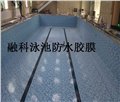融科泳池防水胶膜 泳池专用防水装饰胶膜 供应信息