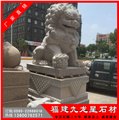 市政石雕獅子 福建產(chǎn)的花崗巖石獅子 石材招財石象工藝擺件 圖片