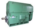 現(xiàn)貨供應(yīng)YKK5004-12 315KW IP54空空冷卻型低壓大功率電機(jī) 圖片