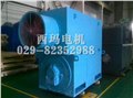 現(xiàn)貨供應(yīng)西安電機(jī)廠YVF5603-4 1800KW 5-70HZ變頻高壓電機(jī) 圖片