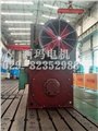 现货供应西安电机厂YVF4001-4 315KW 6KV变频调速高压电机 图片