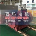 YB2-4504-2 710KW 6KV IP54 ExdⅡBT4 Gb隔爆型防爆电机 图片