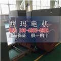 YB2-5003-8 355KW 10KV ExdⅡBT4 Gb防爆高壓電機(jī) 圖片