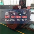 YB2-5001-4 560KW 10KV IP54 ExdⅡBT4 Gb隔爆型防爆電機(jī) 圖片