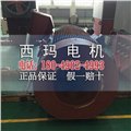 YB2-5001-8 280KW 10KV ExdⅡBT4 Gb防爆高壓電機(jī) 圖片