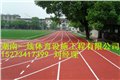 婁底塑膠跑道材料報價，婁底塑膠跑道施工單位湖南一線體育設施工程有限公司 圖片