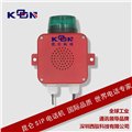 防水抗噪擴(kuò)音電話機(jī) 工業(yè)擴(kuò)音器 車間擴(kuò)音配件 廠用擴(kuò)音電話機(jī) 圖片