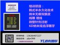 高邮6D纳米炫齿浮雕培训学校 图片