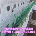河南监狱护栏网郑州刺丝滚笼防盗网厂家专业生产 图片
