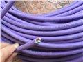 西门子紫色通讯电缆 图片