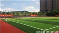 深圳2017创想足球场人造草环保选择 放心工程 品质保障 图片