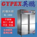 上海防爆冰箱/实验室防爆冰箱BL-1000 图片