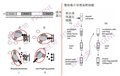 串聯親和純化/質譜（TAP/MS） 圖片