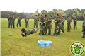 2017企业员工拓展活动项目大全|体验式拓展训练给员工优势-军途拓展 供应信息