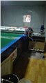 河北保定淋幕机厂家 3D打印uv板背景墙，壁画瓷砖uv光油淋涂流水线价 图片