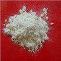 木质纤维经销处|盛达聚丙烯纤维 供应信息