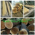 菠萝格木材价格 进口非洲 印尼菠萝格木材 图片