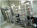 靖江纯化水设备|0.5吨生物制品纯化水设备  图片