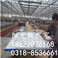 陽光板透明 家用 別墅車棚 陽臺(tái)雨披 陽光房 圖片