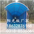 乳白/茶色/湖藍(lán)/草綠/透明PC聚碳酸酯中空陽 圖片