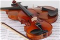 福州去哪里买小提琴等乐器 图片