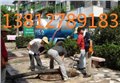 常熟市兴隆镇清理化粪池抽粪65882406 供应信息