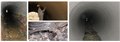 吴兴区雨水管道清洗，管道潜望镜录像检测86802840 图片