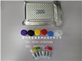 710002山羊孕酮（Prog）定量检测试剂盒（ELISA） 图片