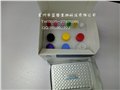 920002猫孕酮（Prog）定量检测试剂盒（ELISA） 图片