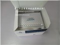 940001豚鼠睾酮（T）定量检测试剂盒（ELISA） 图片