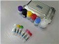 110007人胰岛素原（Pro-INS）定量检测试剂盒（ELISA） 图片