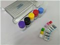 110010人乙肝表面抗体（HBsAb）定量检测试剂盒（ELISA） 图片