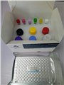 110017人胰岛素(INS）定量检测试剂盒（ELISA） 图片