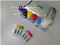 210004大鼠胰岛素(INS)定量检测试剂盒（ELISA） 图片
