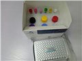 110030人C肽（CP）定量检测试剂盒（ELISA） 图片