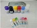 110032人结合珠蛋白（HPT）定量检测试剂盒（ELISA） 图片