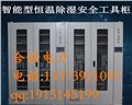 安全工具柜@變電站安全工具柜@吉林@廠家銷售@價(jià)格合理 圖片