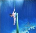 舞台喷雾、舞美——07年央视春晚舞台喷雾 图片